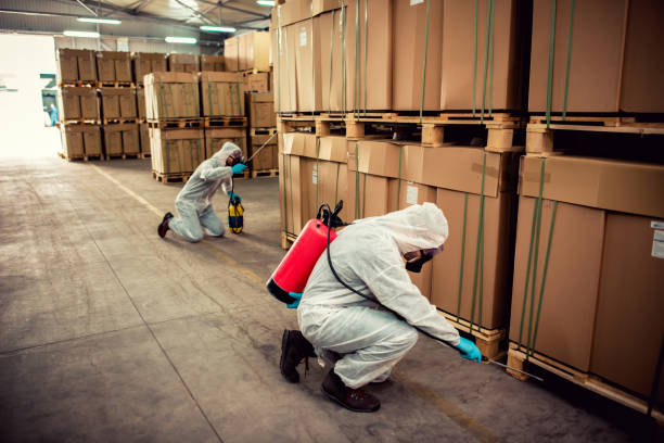 Best Pest Control for Homes  in Georgetown, TX