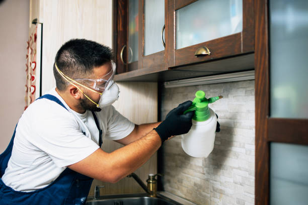 Best Emergency Pest Control  in Georgetown, TX