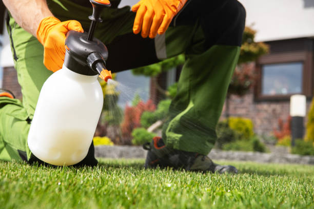 Best Rat Extermination Near Me  in Georgetown, TX