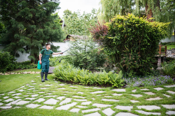 Wasp Removal Services in Georgetown, TX