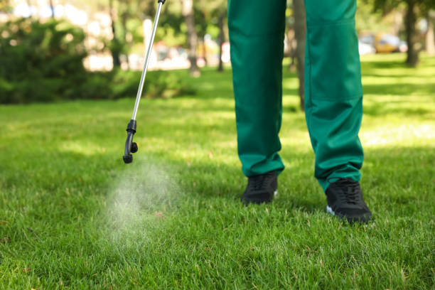 Best Pest Inspection Near Me  in Georgetown, TX