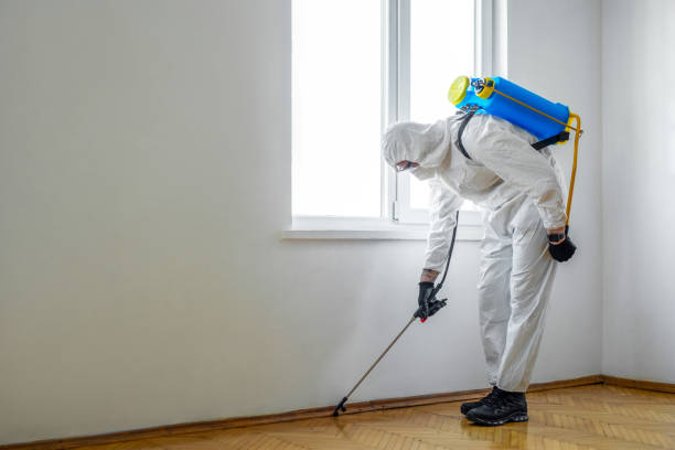 Trusted Georgetown, TX Pest Control Experts