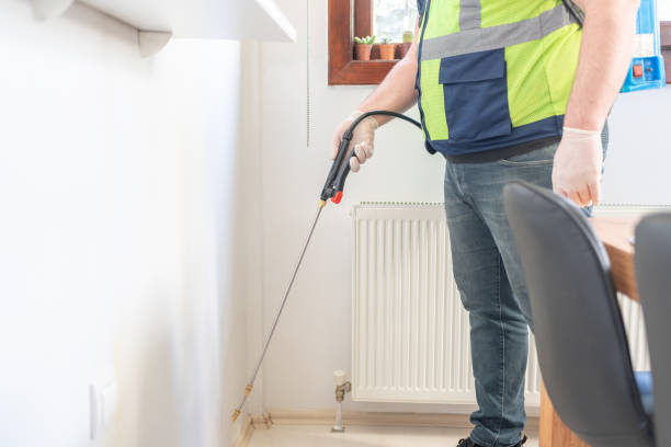 Best Affordable Pest Control Services  in Georgetown, TX