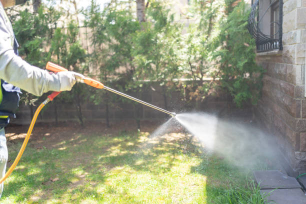 Best Ant Control Services  in Georgetown, TX