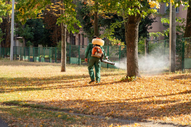 Best Flea Control Services  in Georgetown, TX