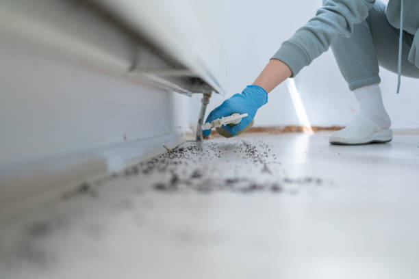 Best Best Pest Control Companies  in Georgetown, TX